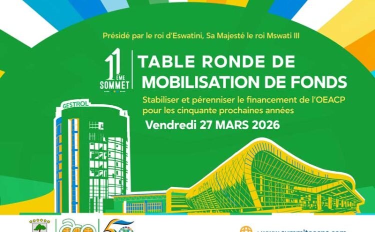 Table ronde de mobilisation de ressources